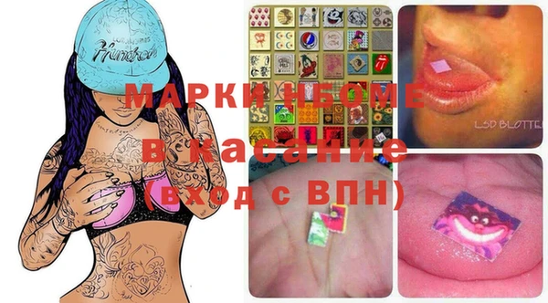 прущие грибы Аркадак