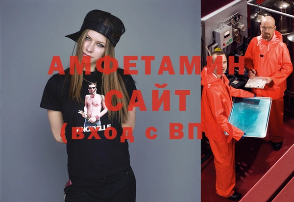 прущие грибы Аркадак